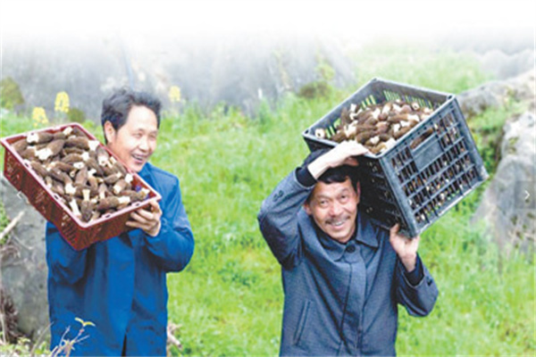 拳头创始人撰写长文,庆祝卡牌游戏LoR五周年_Marc_符文之_玩家