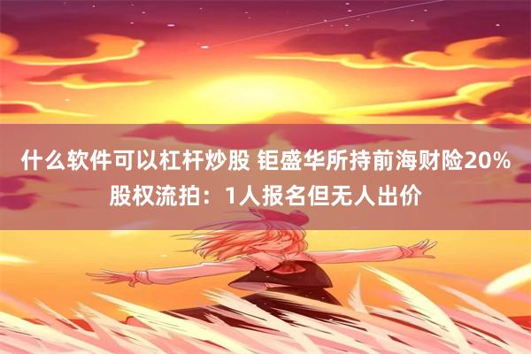 什么软件可以杠杆炒股 钜盛华所持前海财险20%股权流拍：1人报名但无人出价