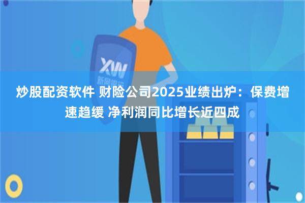 炒股配资软件 财险公司2025业绩出炉:保费增速趋缓 净利润同比增长近四成