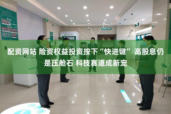 配资网站 险资权益投资按下“快进键” 高股息仍是压舱石 科技赛道成新宠