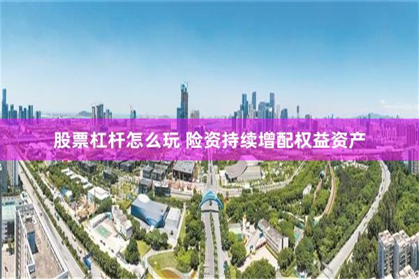 股票杠杆怎么玩 险资持续增配权益资产
