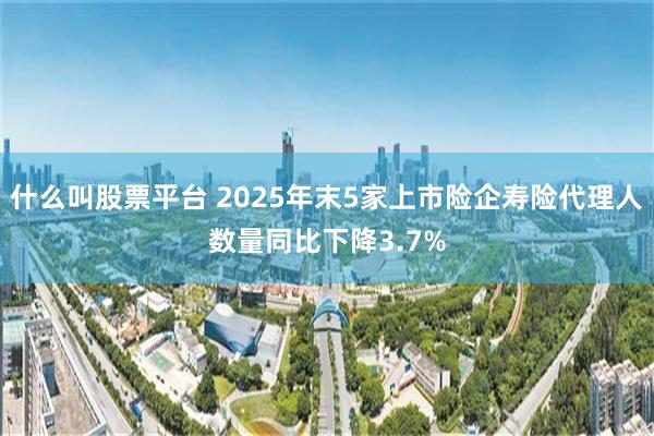 什么叫股票平台 2025年末5家上市险企寿险代理人数量同比下降3.7%