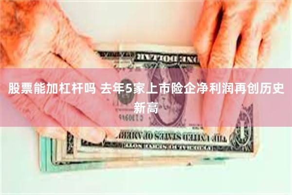 股票能加杠杆吗 去年5家上市险企净利润再创历史新高