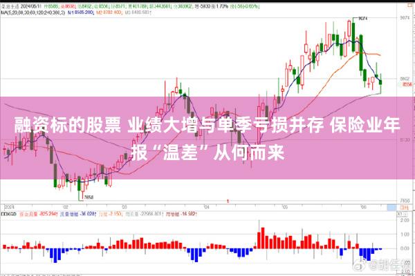 融资标的股票 业绩大增与单季亏损并存 保险业年报“温差”从何而来