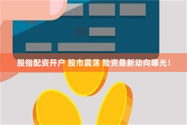 股指配资开户 股市震荡 险资最新动向曝光！