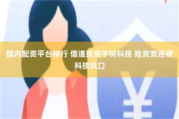 国内配资平台排行 借道投资宇树科技 险资竞逐硬科技风口
