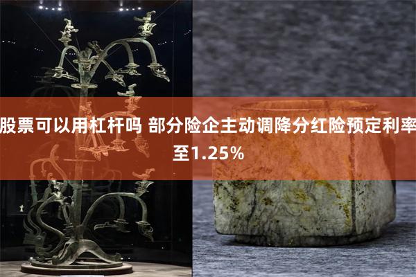 股票可以用杠杆吗 部分险企主动调降分红险预定利率至1.25%