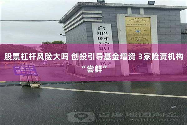 股票杠杆风险大吗 创投引导基金增资 3家险资机构“尝鲜”