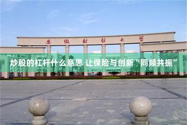 炒股的杠杆什么意思 让保险与创新“同频共振”