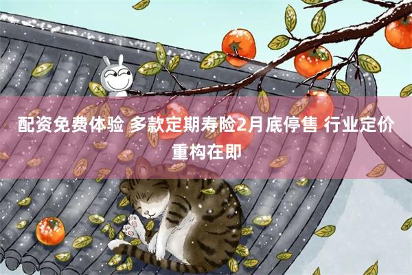 配资免费体验 多款定期寿险2月底停售 行业定价重构在即