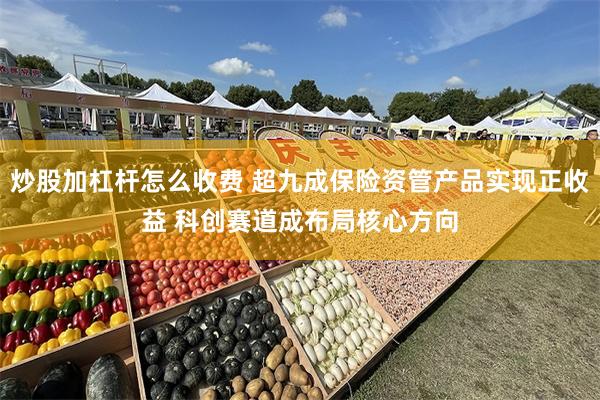 炒股加杠杆怎么收费 超九成保险资管产品实现正收益 科创赛道成布局核心方向