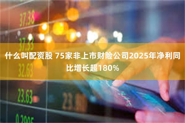 什么叫配资股 75家非上市财险公司2025年净利同比增长超180%