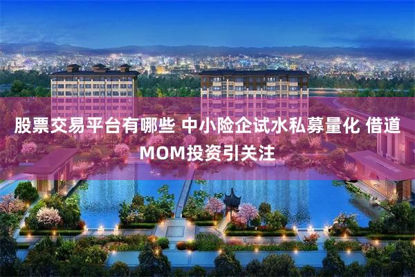 股票交易平台有哪些 中小险企试水私募量化 借道MOM投资引关注
