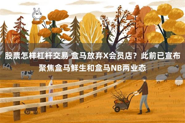 股票怎样杠杆交易 盒马放弃X会员店？此前已宣布聚焦盒马鲜生和盒马NB两业态