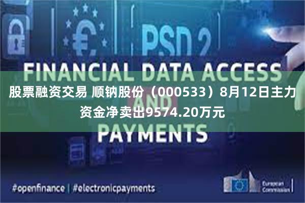 股票融资交易 顺钠股份（000533）8月12日主力资金净卖出9574.20万元