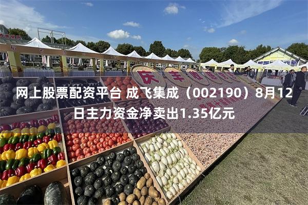 网上股票配资平台 成飞集成（002190）8月12日主力资金净卖出1.35亿元
