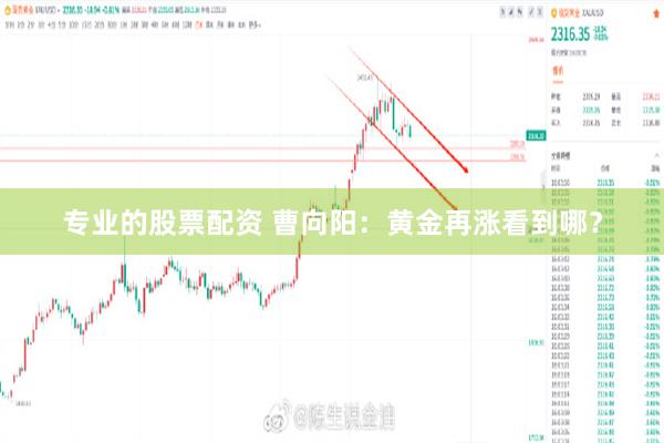 专业的股票配资 曹向阳：黄金再涨看到哪？