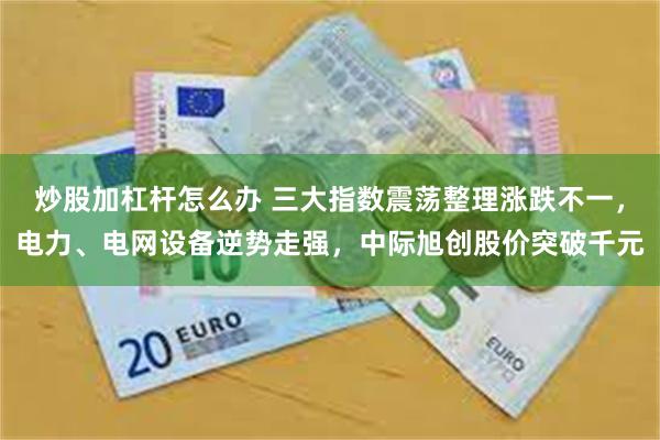 炒股加杠杆怎么办 三大指数震荡整理涨跌不一，电力、电网设备逆势走强，中际旭创股价突破千元