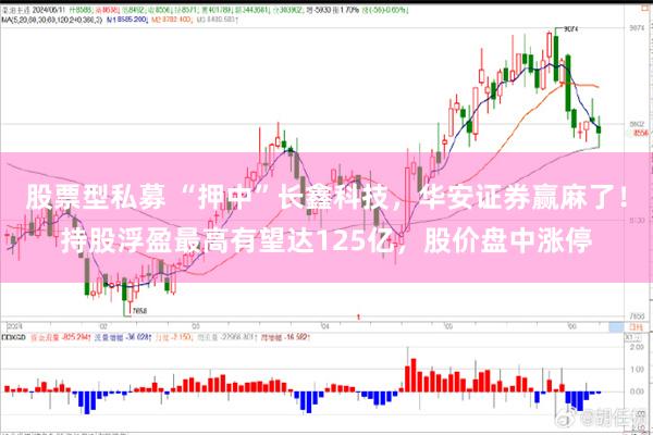 股票型私募 “押中”长鑫科技，华安证券赢麻了！持股浮盈最高有望达125亿，股价盘中涨停