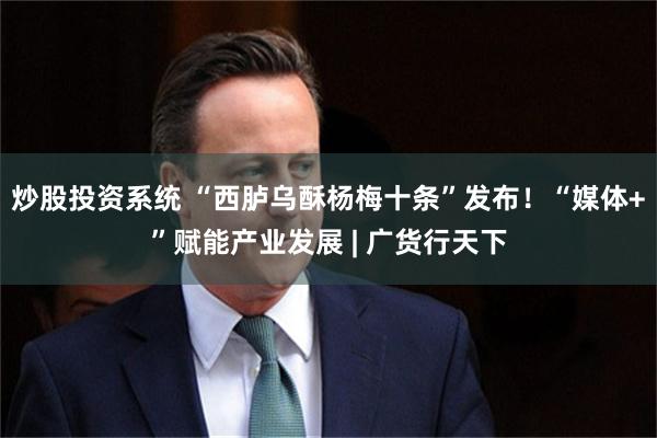 炒股投资系统 “西胪乌酥杨梅十条”发布！“媒体+”赋能产业发展 | 广货行天下