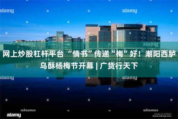 网上炒股杠杆平台 “情书”传递“梅”好！潮阳西胪乌酥杨梅节开幕 | 广货行天下
