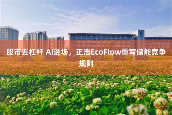 股市去杠杆 AI进场，正浩EcoFlow重写储能竞争规则
