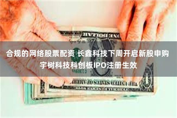 合规的网络股票配资 长鑫科技下周开启新股申购 宇树科技科创板IPO注册生效