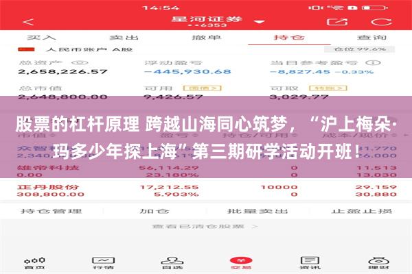 股票的杠杆原理 跨越山海同心筑梦，“沪上梅朵·玛多少年探上海”第三期研学活动开班！