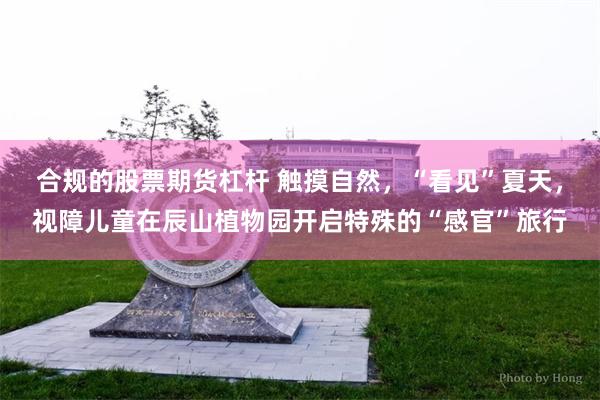 合规的股票期货杠杆 触摸自然，“看见”夏天，视障儿童在辰山植物园开启特殊的“感官”旅行