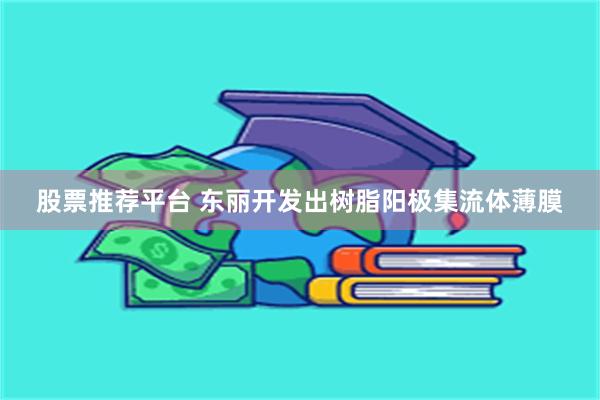 股票推荐平台 东丽开发出树脂阳极集流体薄膜