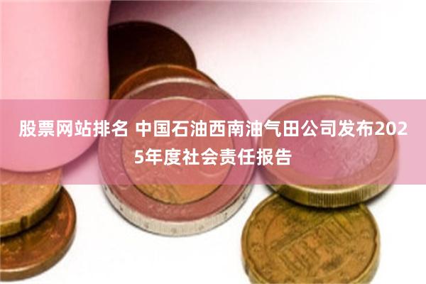 股票网站排名 中国石油西南油气田公司发布2025年度社会责任报告