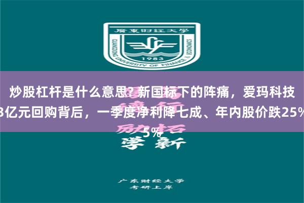炒股杠杆是什么意思? 新国标下的阵痛，爱玛科技3亿元回购背后，一季度净利降七成、年内股价跌25%