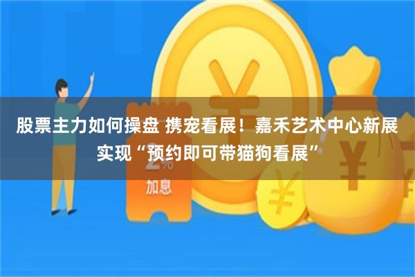 股票主力如何操盘 携宠看展！嘉禾艺术中心新展实现“预约即可带猫狗看展”