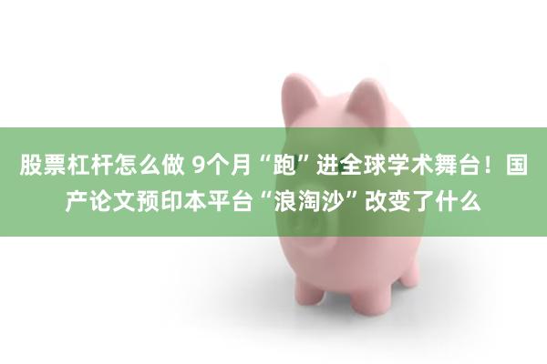 股票杠杆怎么做 9个月“跑”进全球学术舞台！国产论文预印本平台“浪淘沙”改变了什么