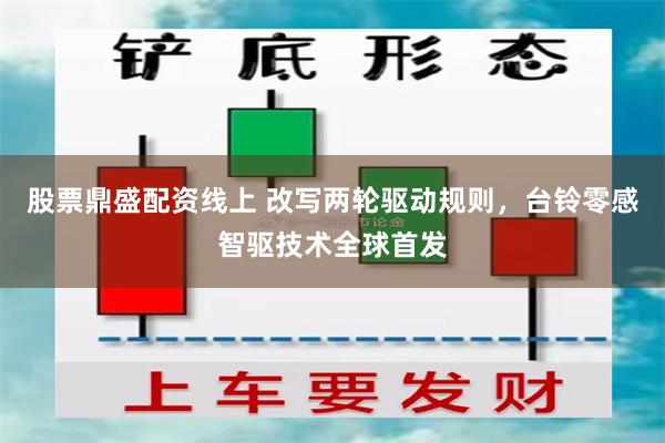 股票鼎盛配资线上 改写两轮驱动规则，台铃零感智驱技术全球首发