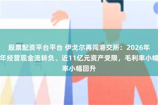 股票配资平台平台 伊戈尔再闯港交所：2026年上半年经营现金流转负、近11亿元资产受限，毛利率小幅回升