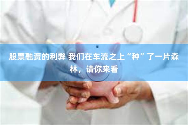 股票融资的利弊 我们在车流之上“种”了一片森林，请你来看