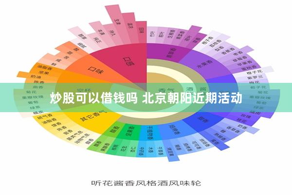 炒股可以借钱吗 北京朝阳近期活动