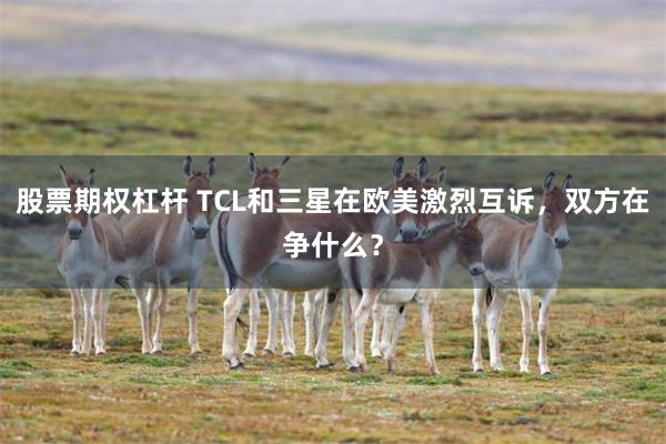 股票期权杠杆 TCL和三星在欧美激烈互诉,双方在争什么?