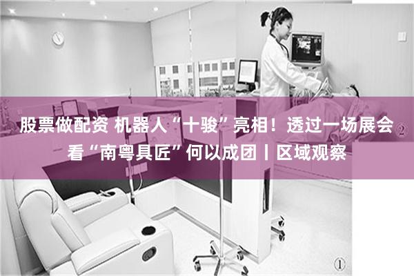 股票做配资 机器人“十骏”亮相！透过一场展会看“南粤具匠”何以成团丨区域观察