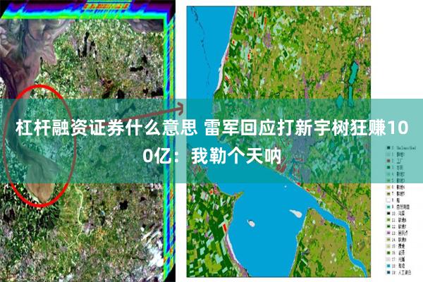 杠杆融资证券什么意思 雷军回应打新宇树狂赚100亿：我勒个天呐