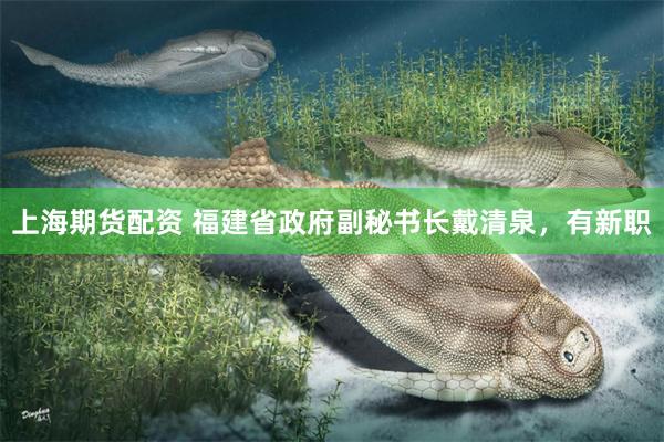 上海期货配资 福建省政府副秘书长戴清泉，有新职