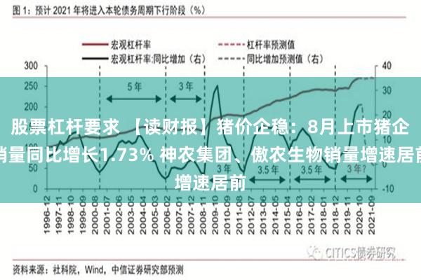 股票杠杆要求 【读财报】猪价企稳：8月上市猪企销量同比增长1.73% 神农集团、傲农生物销量增速居前