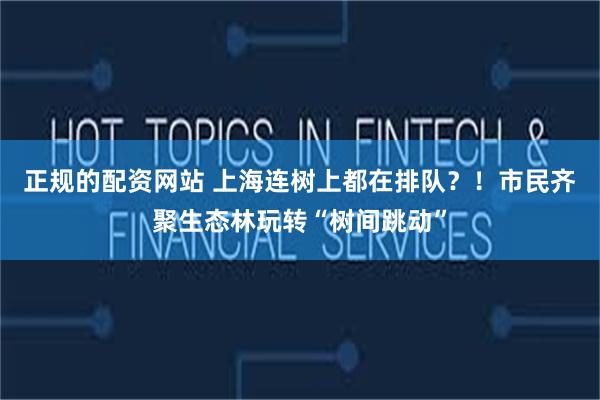 正规的配资网站 上海连树上都在排队？！市民齐聚生态林玩转“树间跳动”