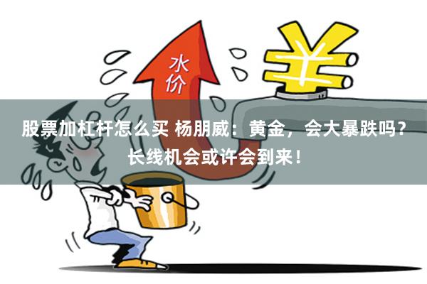 股票加杠杆怎么买 杨朋威：黄金，会大暴跌吗？长线机会或许会到来！