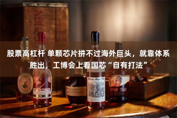 股票高杠杆 单颗芯片拼不过海外巨头，就靠体系胜出，工博会上看国芯“自有打法”
